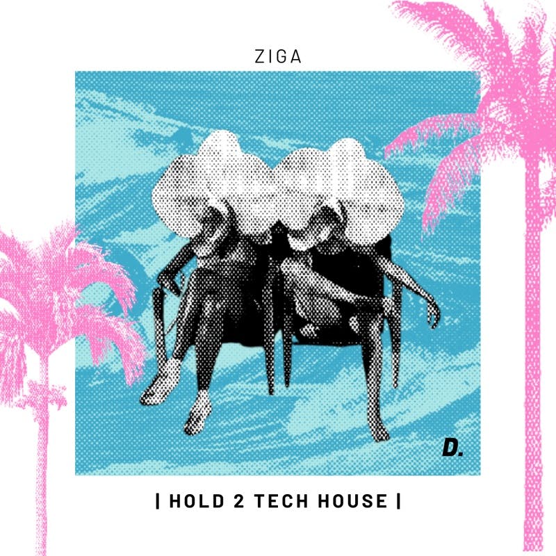 hold 2 tech house w/ Bonus Remix Release Artwork
